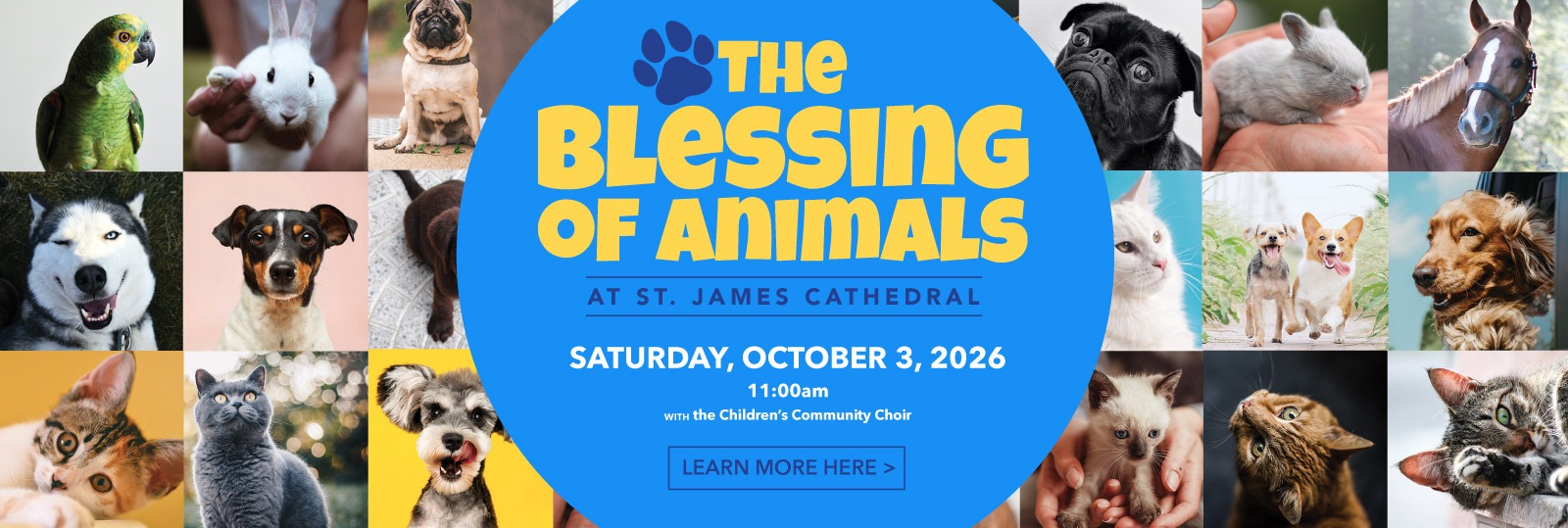 20261003-blessinganimals-slider-v1
